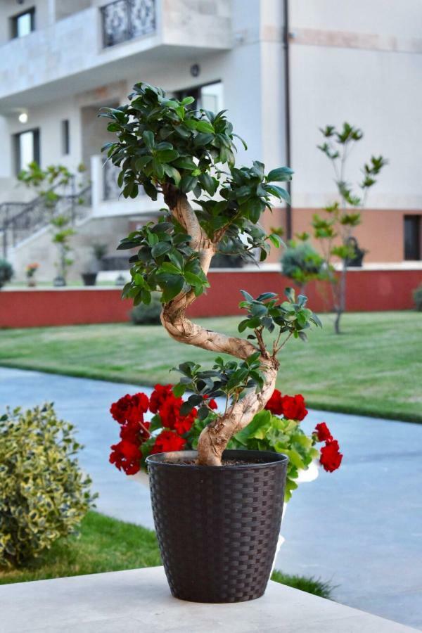 Valurile Mării Vama - Veche Hotel Vama Veche Exterior foto